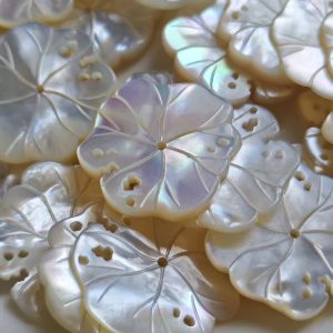 Natural White Lipped Pearl Oyster Porose Water Lily Cut 23X25mm Loose Gemstone DIY Small Accessories